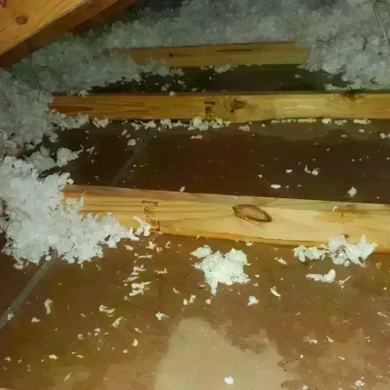 Attic Water Damage in Pine Valley, CA